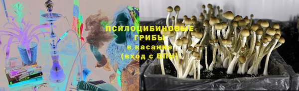 mix Зеленокумск