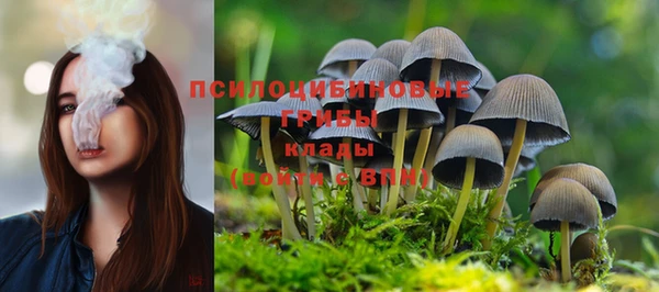mix Зеленокумск