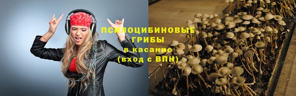 сатива Зеленодольск