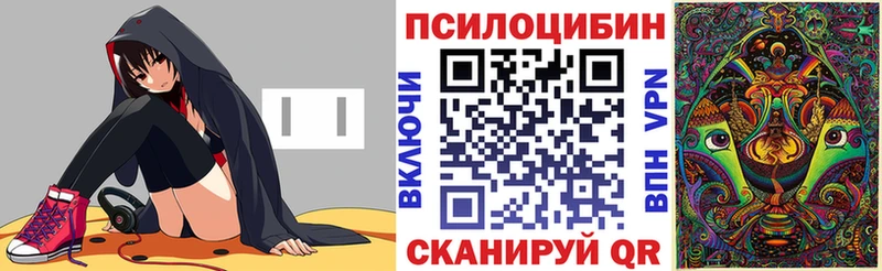 Галлюциногенные грибы GOLDEN TEACHER  Купить  Богучар 